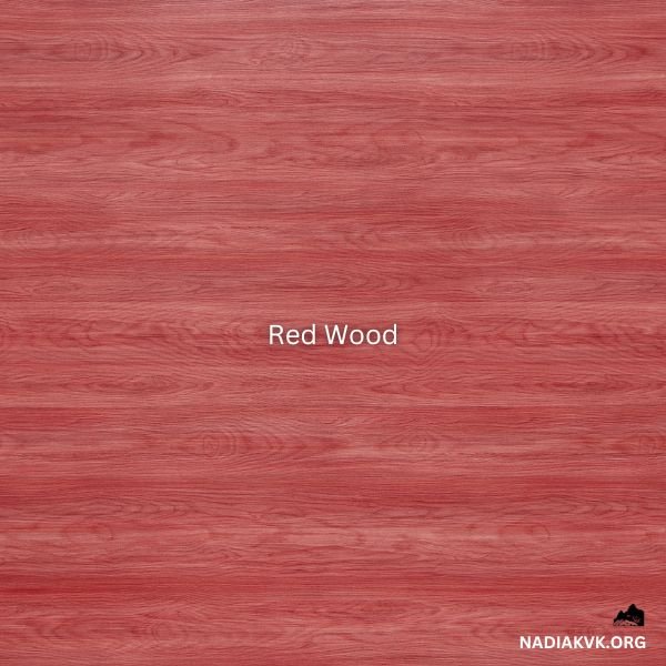 Types of Wood
